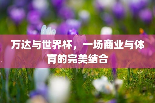 万达与世界杯，一场商业与体育的完美结合金炬实业股份有限公司